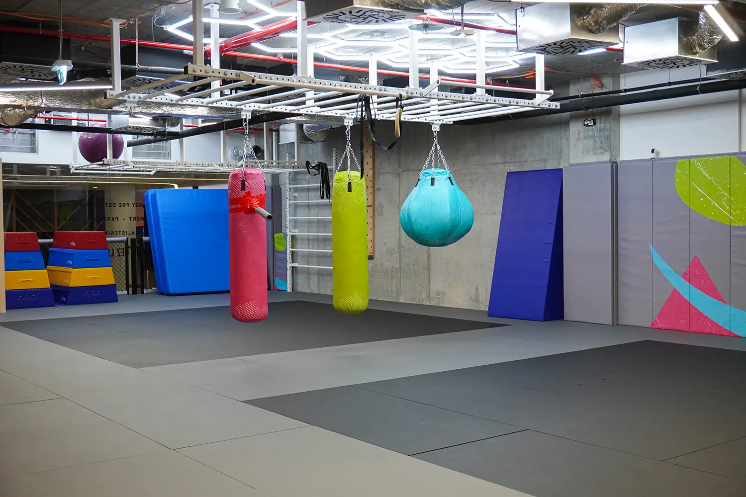Priestor Elf Gym