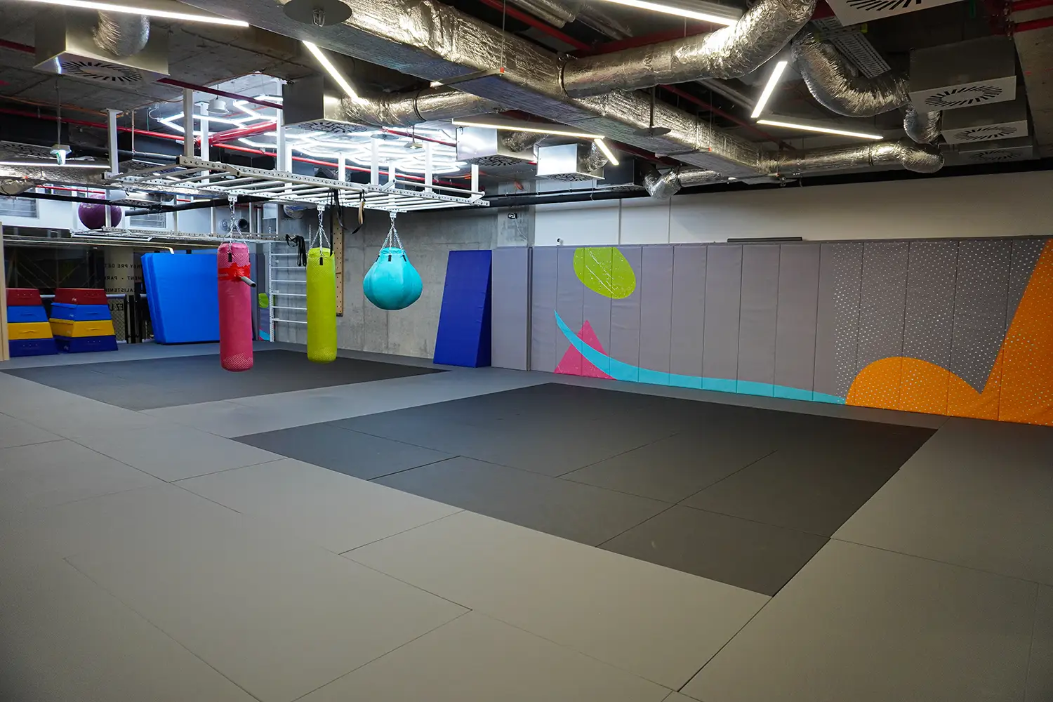Priestor Elf Gym